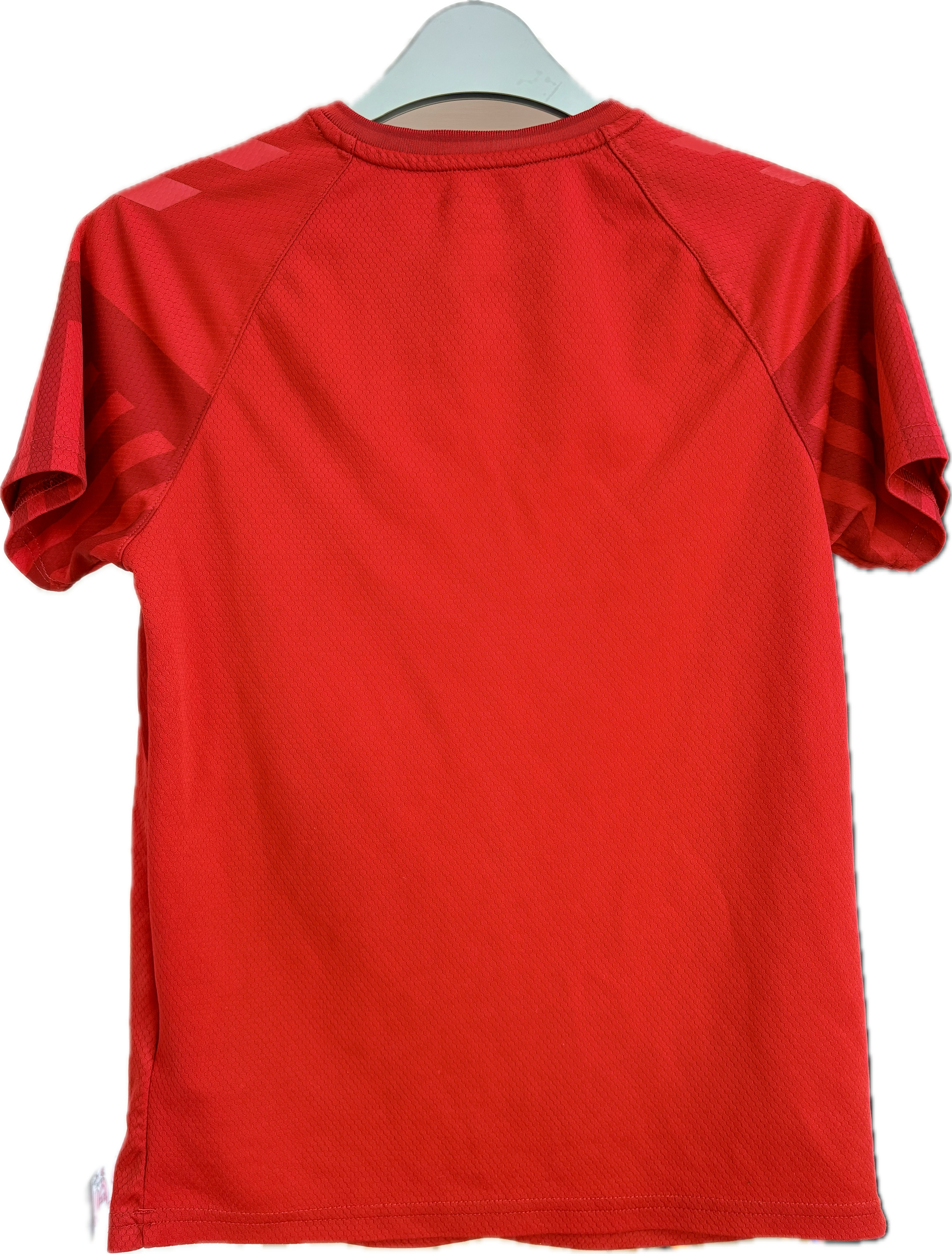 Danmark 🇩🇰 DBU fodboldtrøje 2020