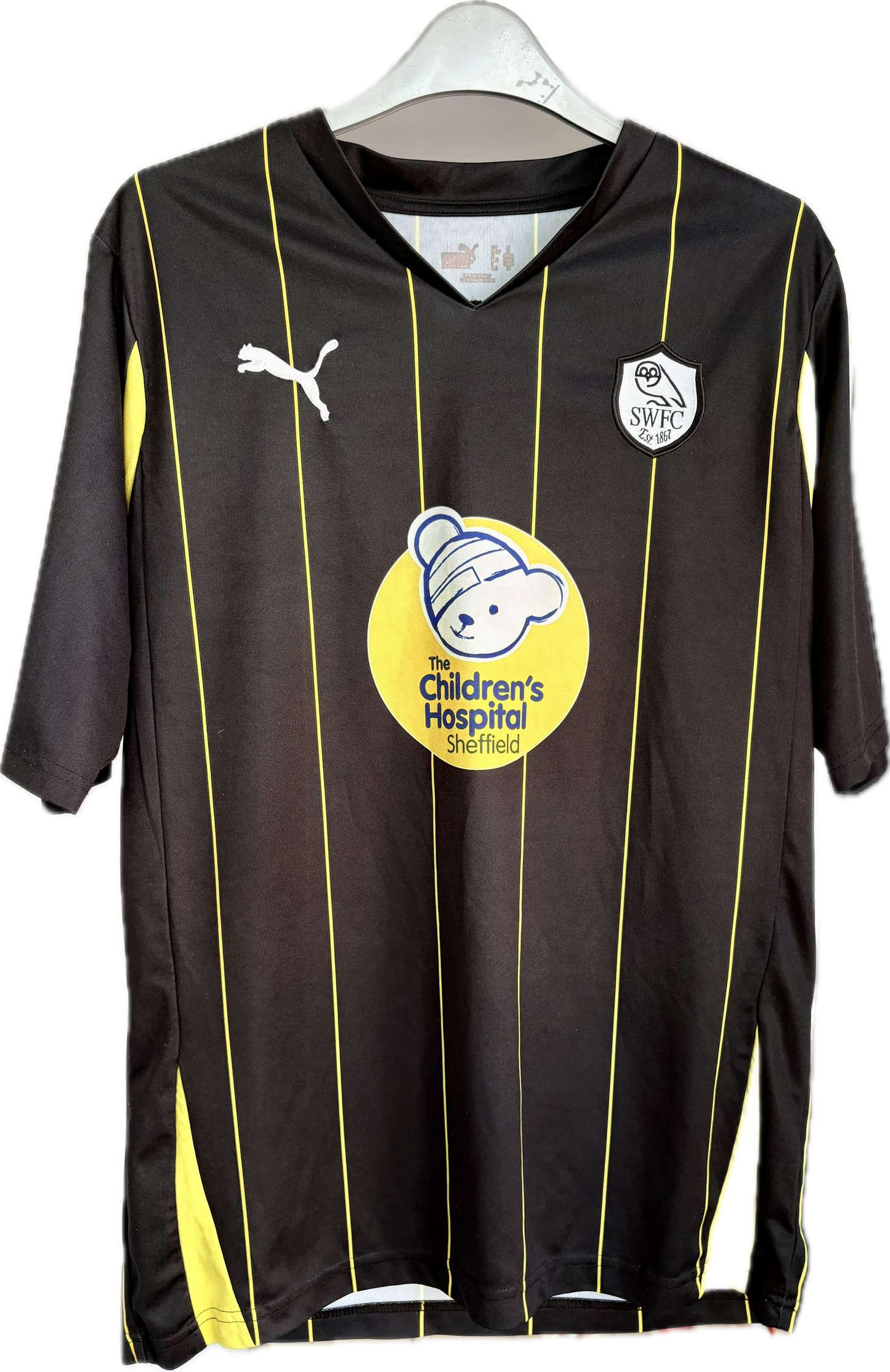 Sheffield Wednesday 2010