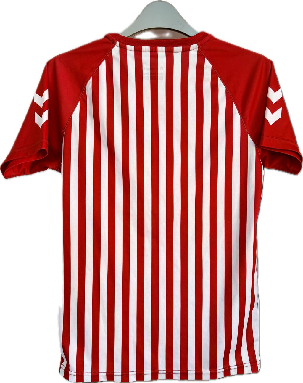 Danmark DBU fan fodboldtrøje 2020