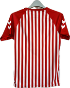 Danmark DBU fan fodboldtrøje 2020