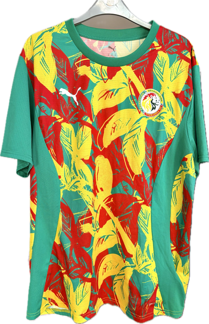 Senegal Pre-Match fodboldtrøje 2025 - Fodboldminder.dk