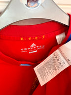 Spanien fodboldtrøje Iniesta 2010