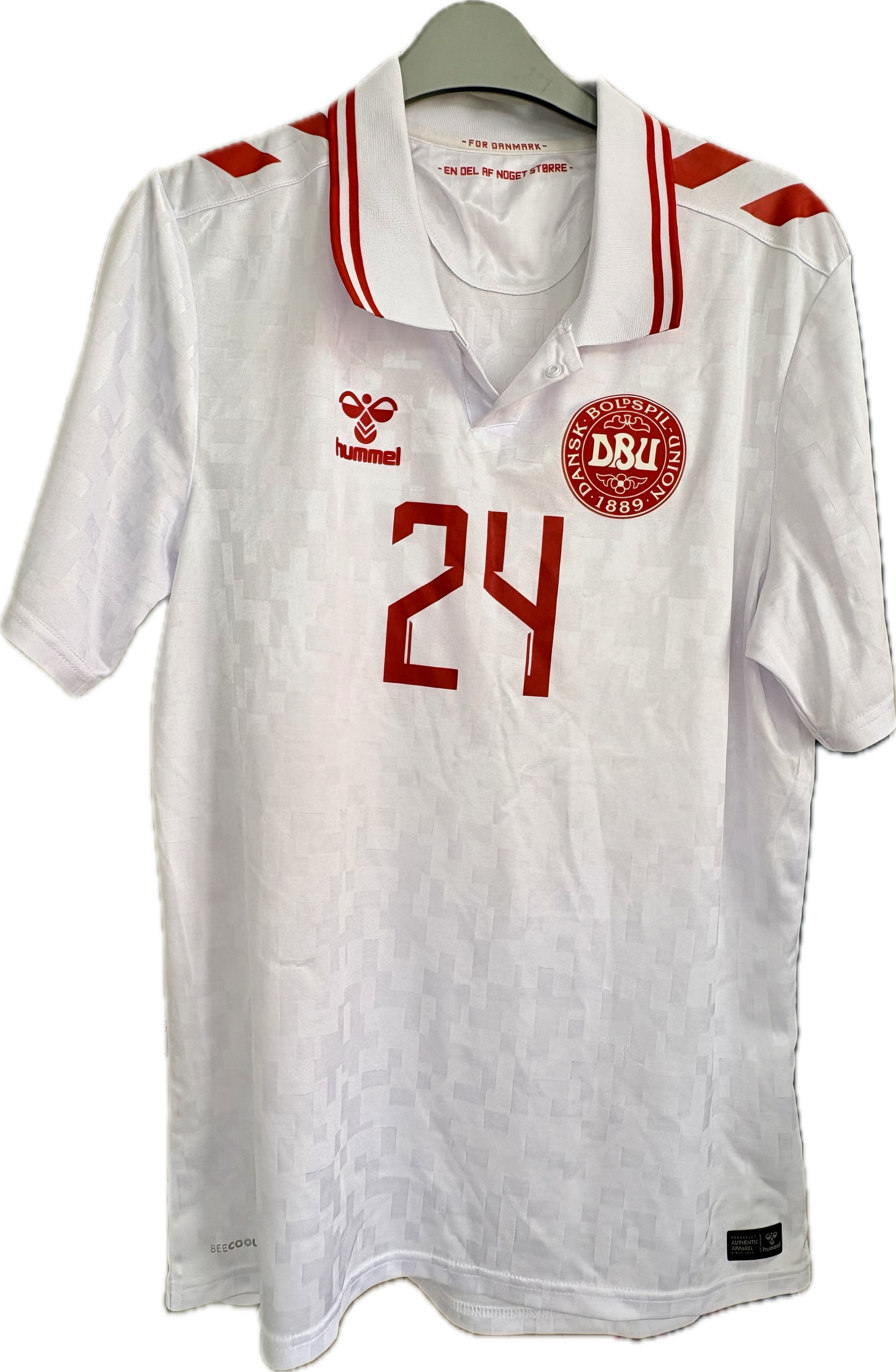 Danmark fodboldtrøje Dreyer 2024