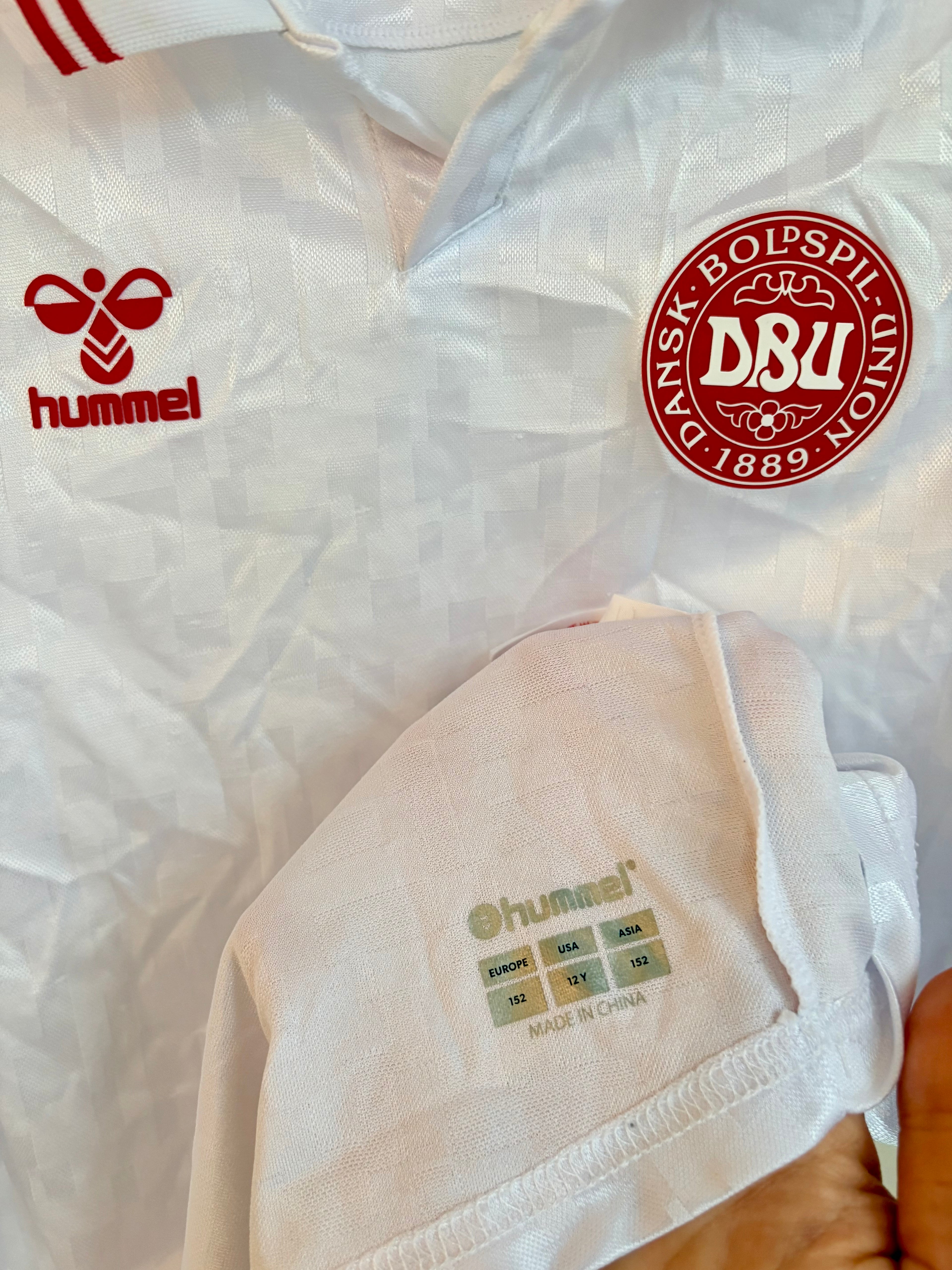 Danmark DBU fodboldtrøje 2024