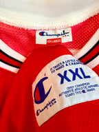 Chicago Bulls NBA Jordan basketball shirt