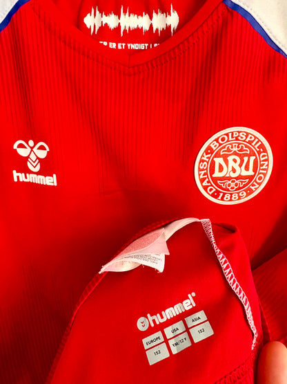 Danmark landsholdstrøje 2020