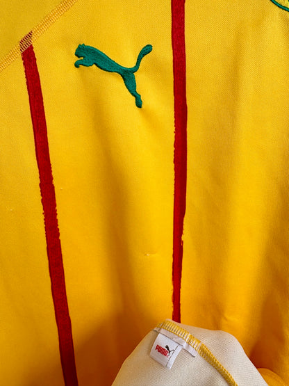 Cameroun fodboldtrøje 2010 - Fodboldminder.dk