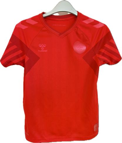 Danmark fodboldtrøje 2022