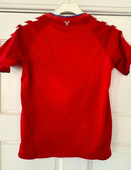 Danmark DBU fodboldtrøje 2018