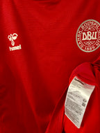 Danmark DBU fodboldtrøje 2020