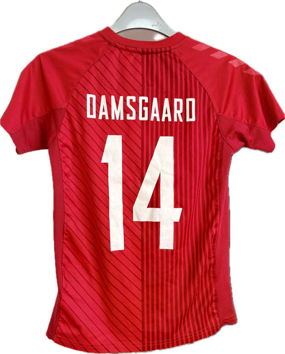 Danmark fodboldtrøje